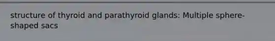 structure of thyroid and parathyroid glands: Multiple sphere-shaped sacs