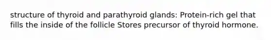 structure of thyroid and parathyroid glands: Protein-rich gel that fills the inside of the follicle Stores precursor of thyroid hormone.