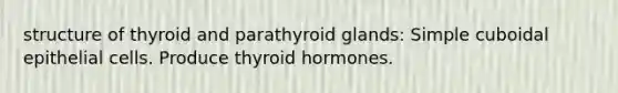 structure of thyroid and parathyroid glands: Simple cuboidal epithelial cells. Produce thyroid hormones.