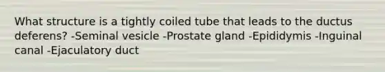 What structure is a tightly coiled tube that leads to the ductus deferens? -Seminal vesicle -Prostate gland -Epididymis -Inguinal canal -Ejaculatory duct