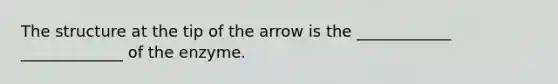 The structure at the tip of the arrow is the ____________ _____________ of the enzyme.