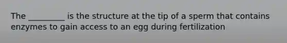 The _________ is the structure at the tip of a sperm that contains enzymes to gain access to an egg during fertilization