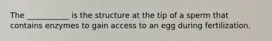 The ___________ is the structure at the tip of a sperm that contains enzymes to gain access to an egg during fertilization.