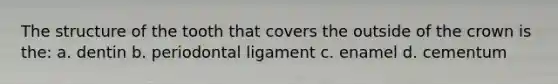 The structure of the tooth that covers the outside of the crown is the: a. dentin b. periodontal ligament c. enamel d. cementum