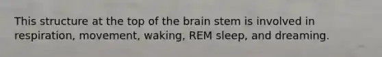 This structure at the top of the brain stem is involved in respiration, movement, waking, REM sleep, and dreaming.