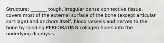 Structure: _______ tough, irregular dense connective tissue, covers most of the external surface of the bone (except articular cartilage) and anchors itself, blood vessels and nerves to the bone by sending PERFORATING collagen fibers into the underlying diaphysis.