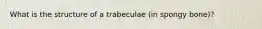What is the structure of a trabeculae (in spongy bone)?