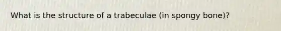 What is the structure of a trabeculae (in spongy bone)?