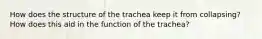 How does the structure of the trachea keep it from collapsing? How does this aid in the function of the trachea?