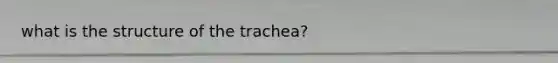 what is the structure of the trachea?