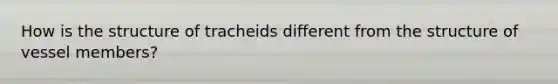 How is the structure of tracheids different from the structure of vessel members?