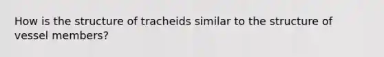 How is the structure of tracheids similar to the structure of vessel members?