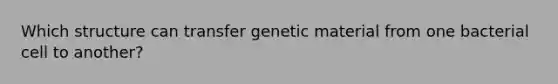 Which structure can transfer genetic material from one bacterial cell to another?