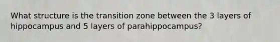 What structure is the transition zone between the 3 layers of hippocampus and 5 layers of parahippocampus?