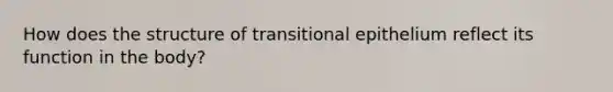 How does the structure of transitional epithelium reflect its function in the body?