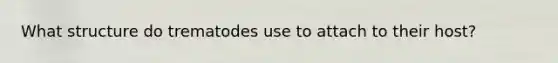 What structure do trematodes use to attach to their host?
