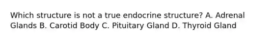 Which structure is not a true endocrine structure? A. Adrenal Glands B. Carotid Body C. Pituitary Gland D. Thyroid Gland