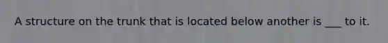 A structure on the trunk that is located below another is ___ to it.