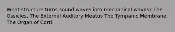 What structure turns sound waves into mechanical waves? The Ossicles. The External Auditory Meatus The Tympanic Membrane. The Organ of Corti.