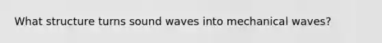 What structure turns sound waves into mechanical waves?