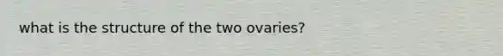 what is the structure of the two ovaries?