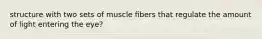 structure with two sets of muscle fibers that regulate the amount of light entering the eye?