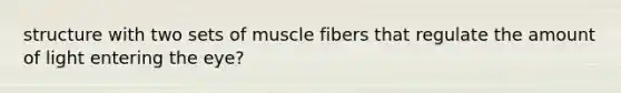 structure with two sets of muscle fibers that regulate the amount of light entering the eye?