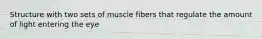 Structure with two sets of muscle fibers that regulate the amount of light entering the eye