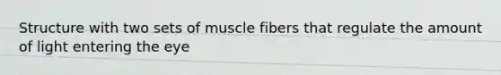 Structure with two sets of muscle fibers that regulate the amount of light entering the eye