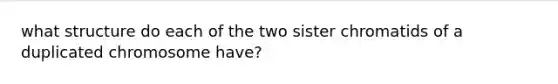 what structure do each of the two sister chromatids of a duplicated chromosome have?