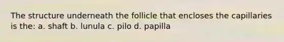 The structure underneath the follicle that encloses the capillaries is the: a. shaft b. lunula c. pilo d. papilla