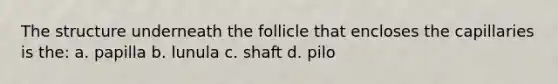 The structure underneath the follicle that encloses the capillaries is the: a. papilla b. lunula c. shaft d. pilo