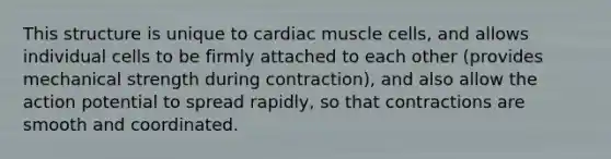 This structure is unique to cardiac muscle cells, and allows individual cells to be firmly attached to each other (provides mechanical strength during contraction), and also allow the action potential to spread rapidly, so that contractions are smooth and coordinated.