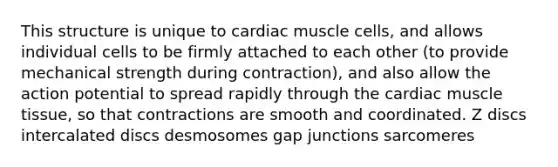 This structure is unique to cardiac muscle cells, and allows individual cells to be firmly attached to each other (to provide mechanical strength during contraction), and also allow the action potential to spread rapidly through the cardiac muscle tissue, so that contractions are smooth and coordinated. Z discs intercalated discs desmosomes gap junctions sarcomeres