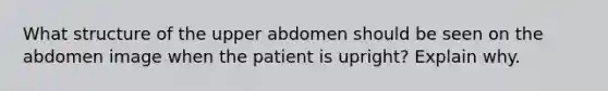 What structure of the upper abdomen should be seen on the abdomen image when the patient is upright? Explain why.