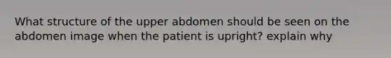 What structure of the upper abdomen should be seen on the abdomen image when the patient is upright? explain why