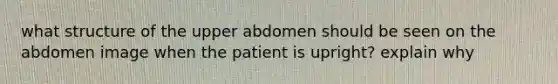 what structure of the upper abdomen should be seen on the abdomen image when the patient is upright? explain why