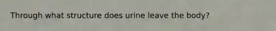 Through what structure does urine leave the body?