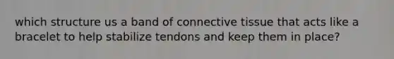 which structure us a band of <a href='https://www.questionai.com/knowledge/kYDr0DHyc8-connective-tissue' class='anchor-knowledge'>connective tissue</a> that acts like a bracelet to help stabilize tendons and keep them in place?