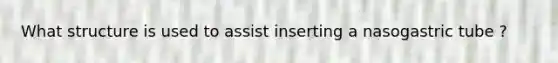 What structure is used to assist inserting a nasogastric tube ?