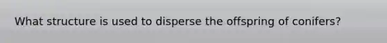 What structure is used to disperse the offspring of conifers?