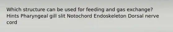 Which structure can be used for feeding and gas exchange? Hints Pharyngeal gill slit Notochord Endoskeleton Dorsal nerve cord