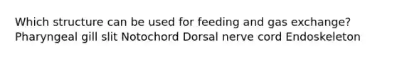 Which structure can be used for feeding and gas exchange? Pharyngeal gill slit Notochord Dorsal nerve cord Endoskeleton