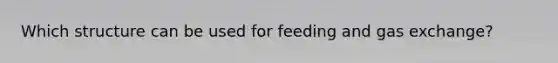 Which structure can be used for feeding and gas exchange?