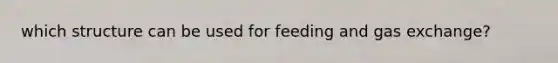 which structure can be used for feeding and gas exchange?