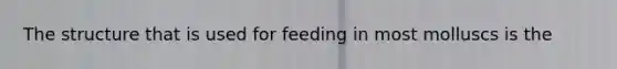 The structure that is used for feeding in most molluscs is the