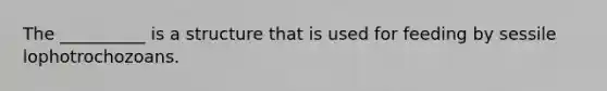 The __________ is a structure that is used for feeding by sessile lophotrochozoans.