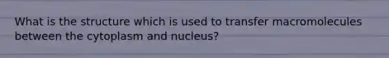 What is the structure which is used to transfer macromolecules between the cytoplasm and nucleus?