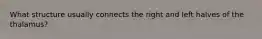 What structure usually connects the right and left halves of the thalamus?