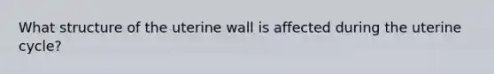 What structure of the uterine wall is affected during the uterine cycle?